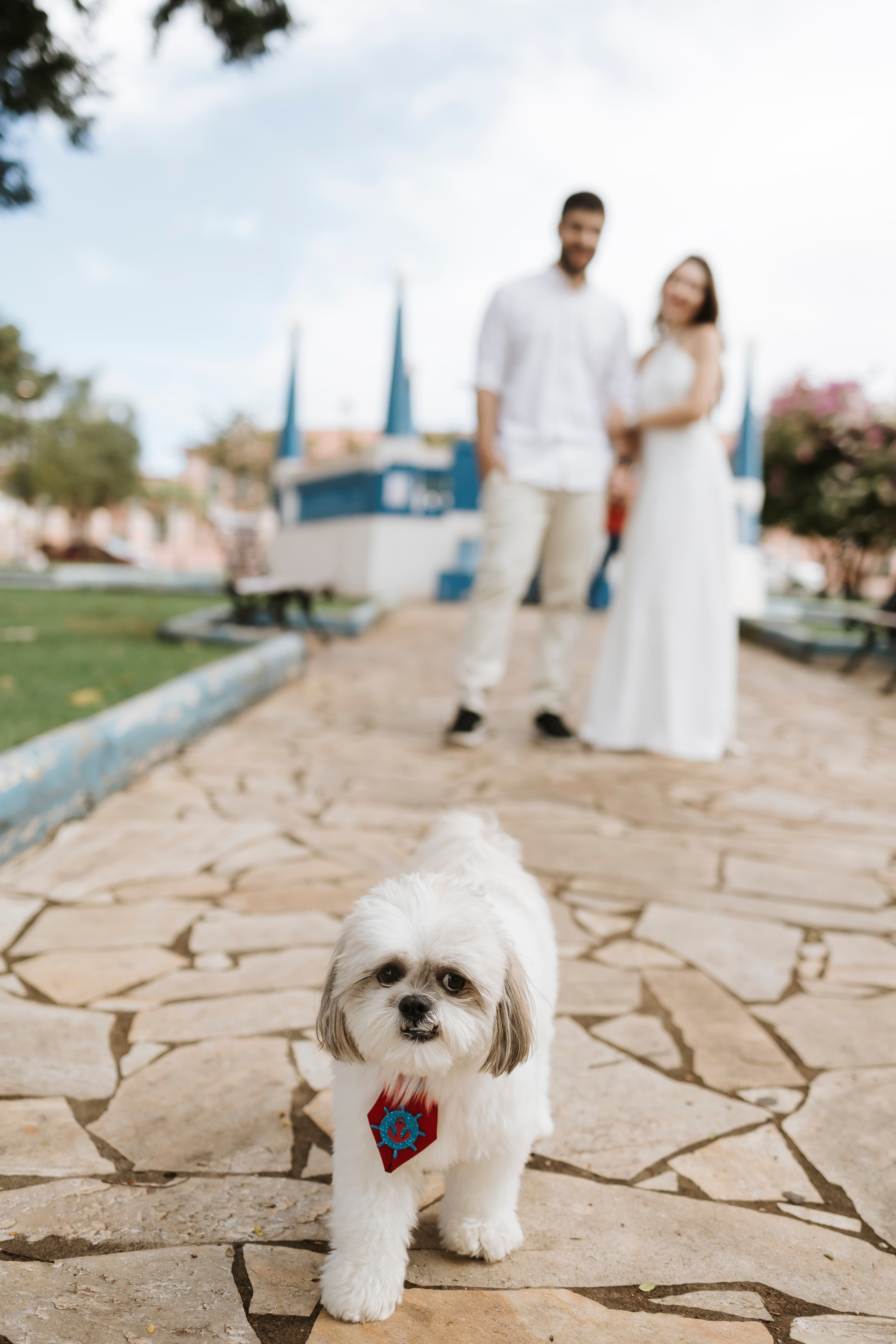 Foto do casal 7